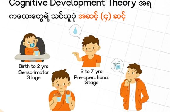 The 4 Stages Of Learning : Cognitive Development Theory